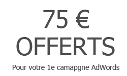 75 € offerts pour votre 1e campagne AdWords - ANEMO